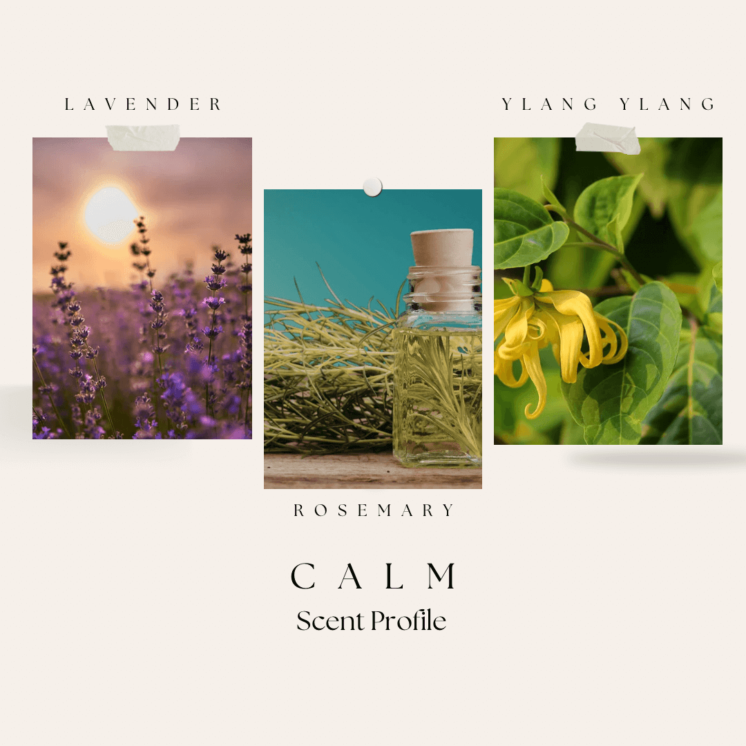 Collage of images with lavender, rosemary, and ylang ylang plants with corresponding scents.