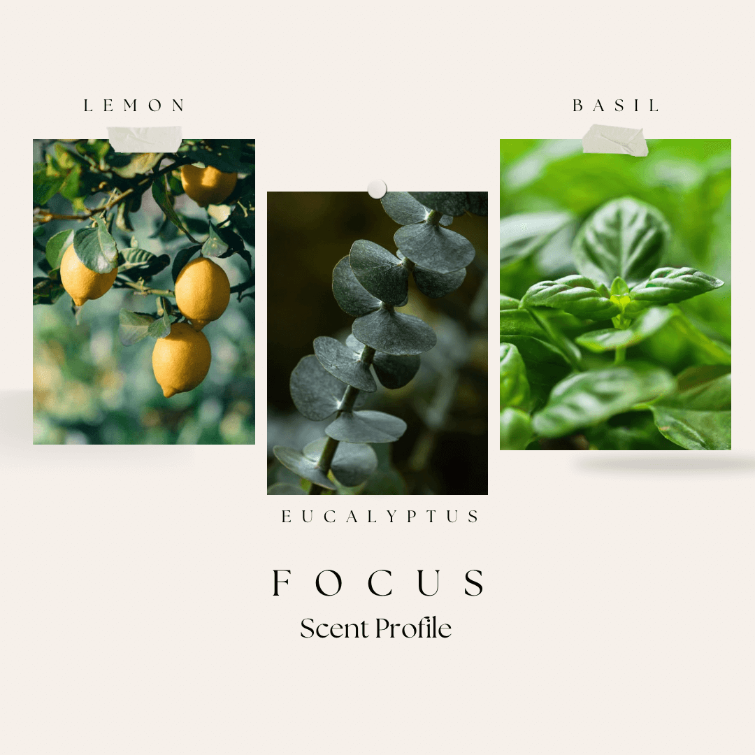 Three images of different plants with labels: Lemon, Basil, and Eucalyptus on a white background.